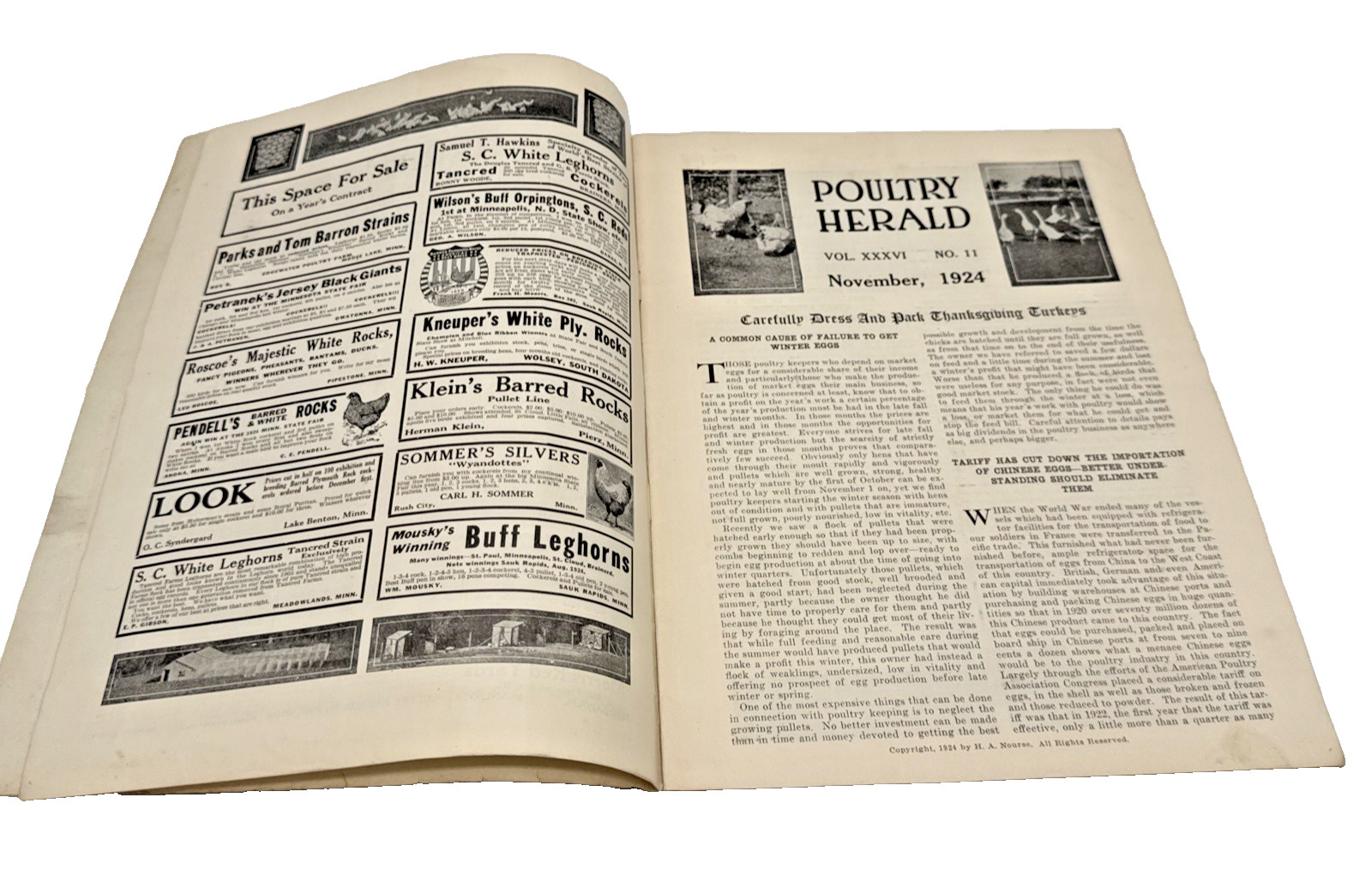 1924 Poultry Herald Magazine St Paul MN Farm Chickens Rooster Ads Vintage