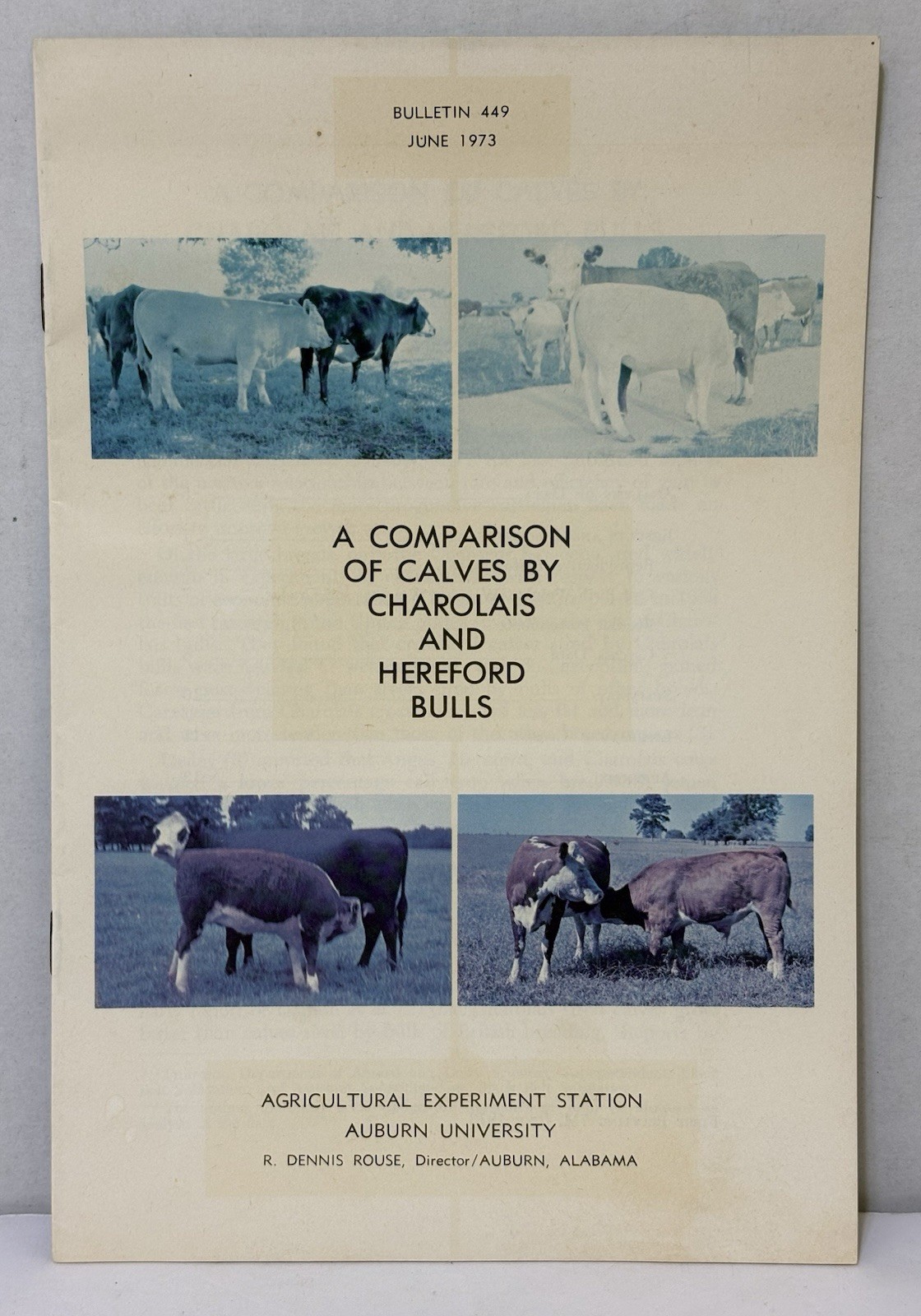 Vintage 1973 Cattle Booklet CALF COMPARIONS by CHAROLAIS & HEREFORD BULLS