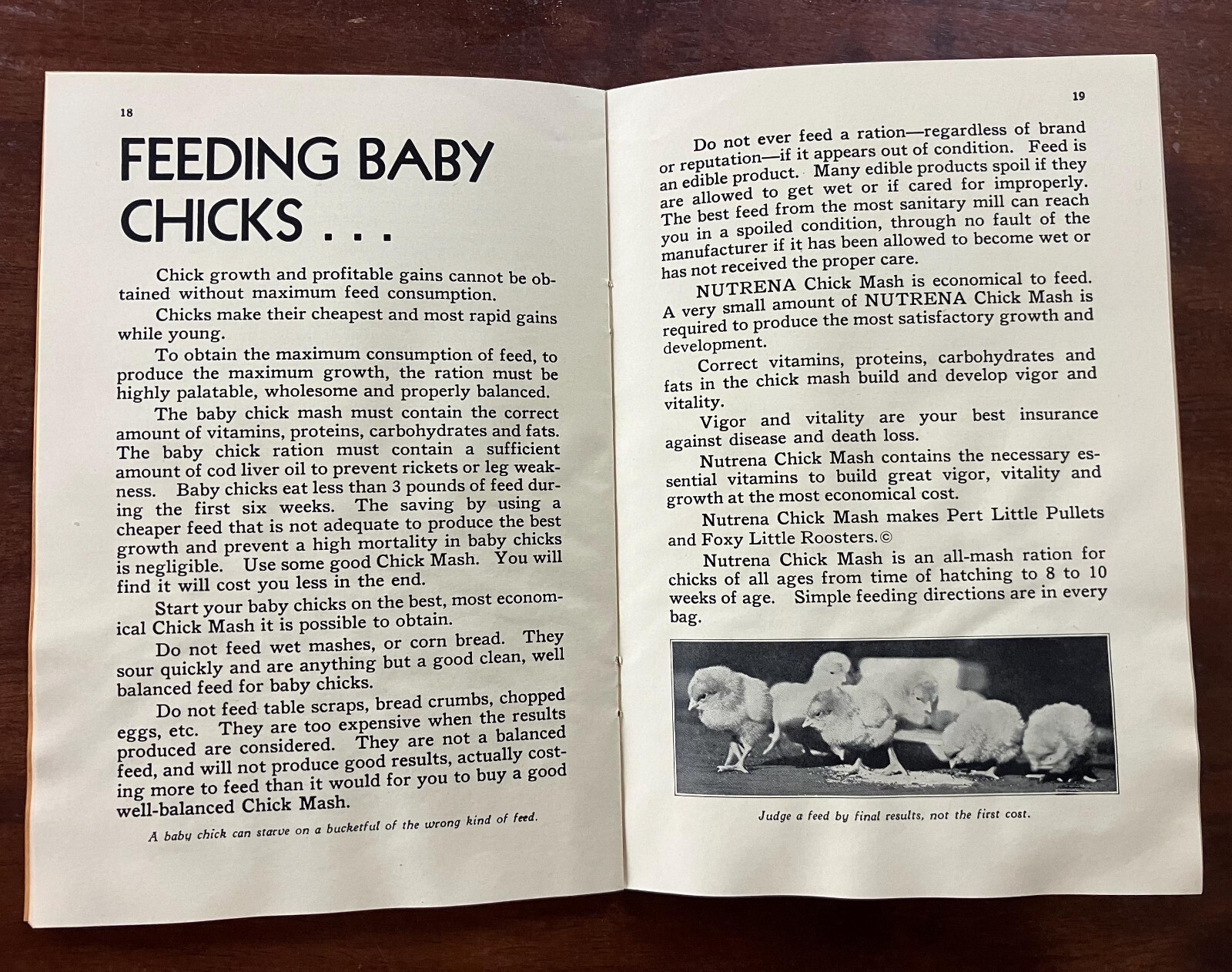 1920&rsquo;s-30&rsquo;s Chick Raising Secret for Average Folks Booklet by Nutrena Mills, Inc