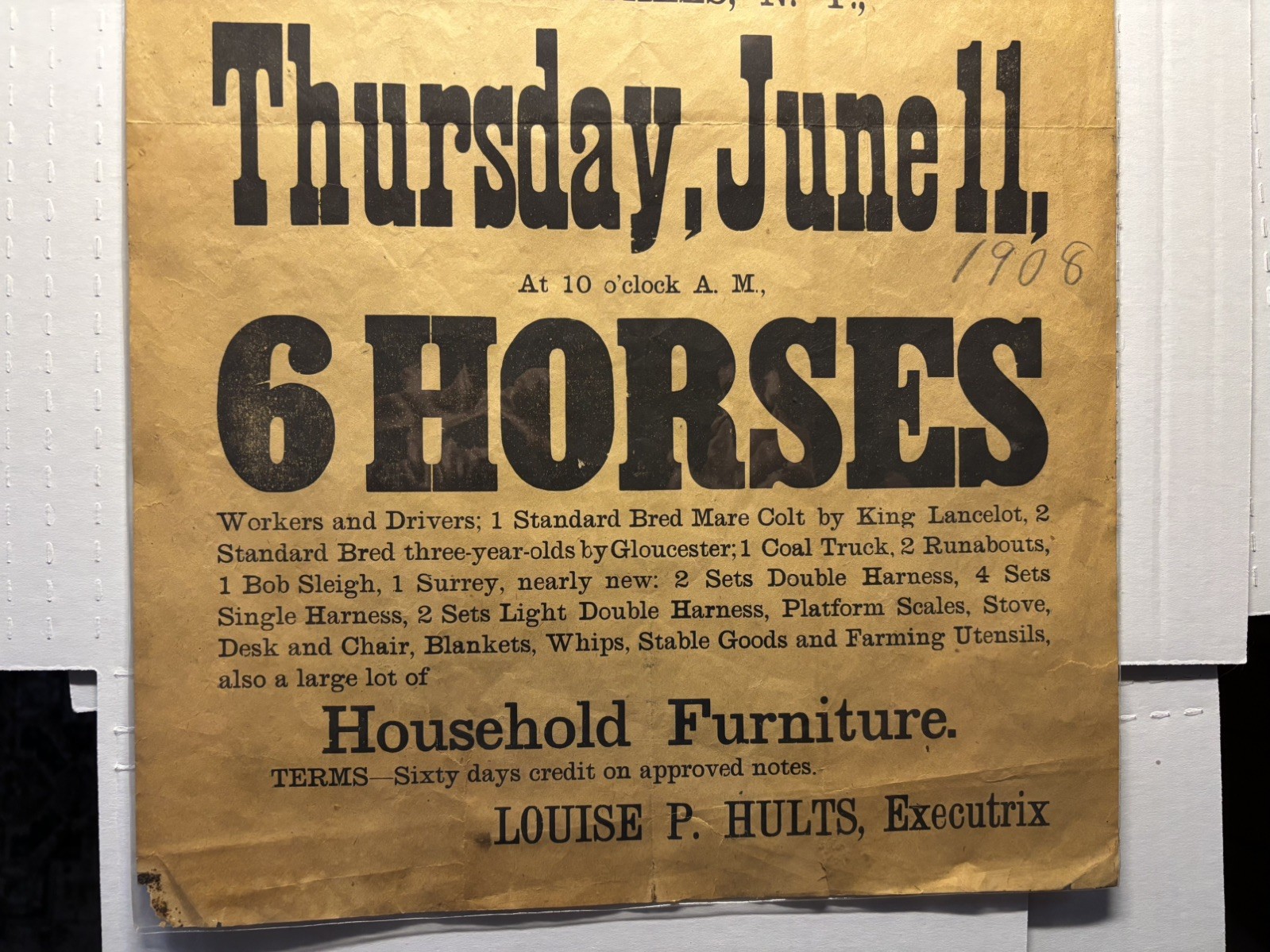 Original Vintage BROADSIDE 1908 AUCTION Equestrian Croton Falls NY, 6 Horses
