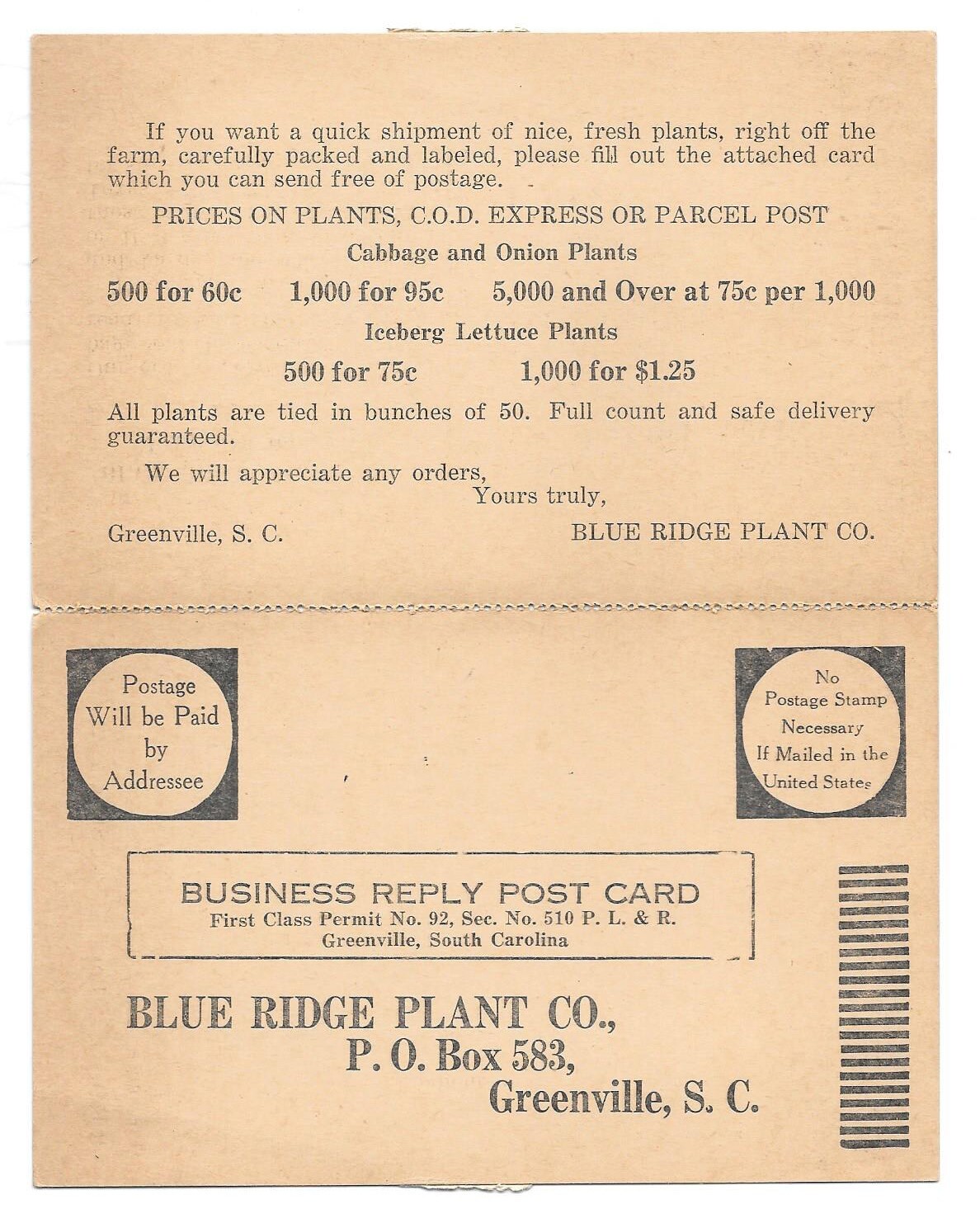1934 BLUE RIDGE PLANT CO Greenville SC C.O.D. Price List & Order Form Postcard