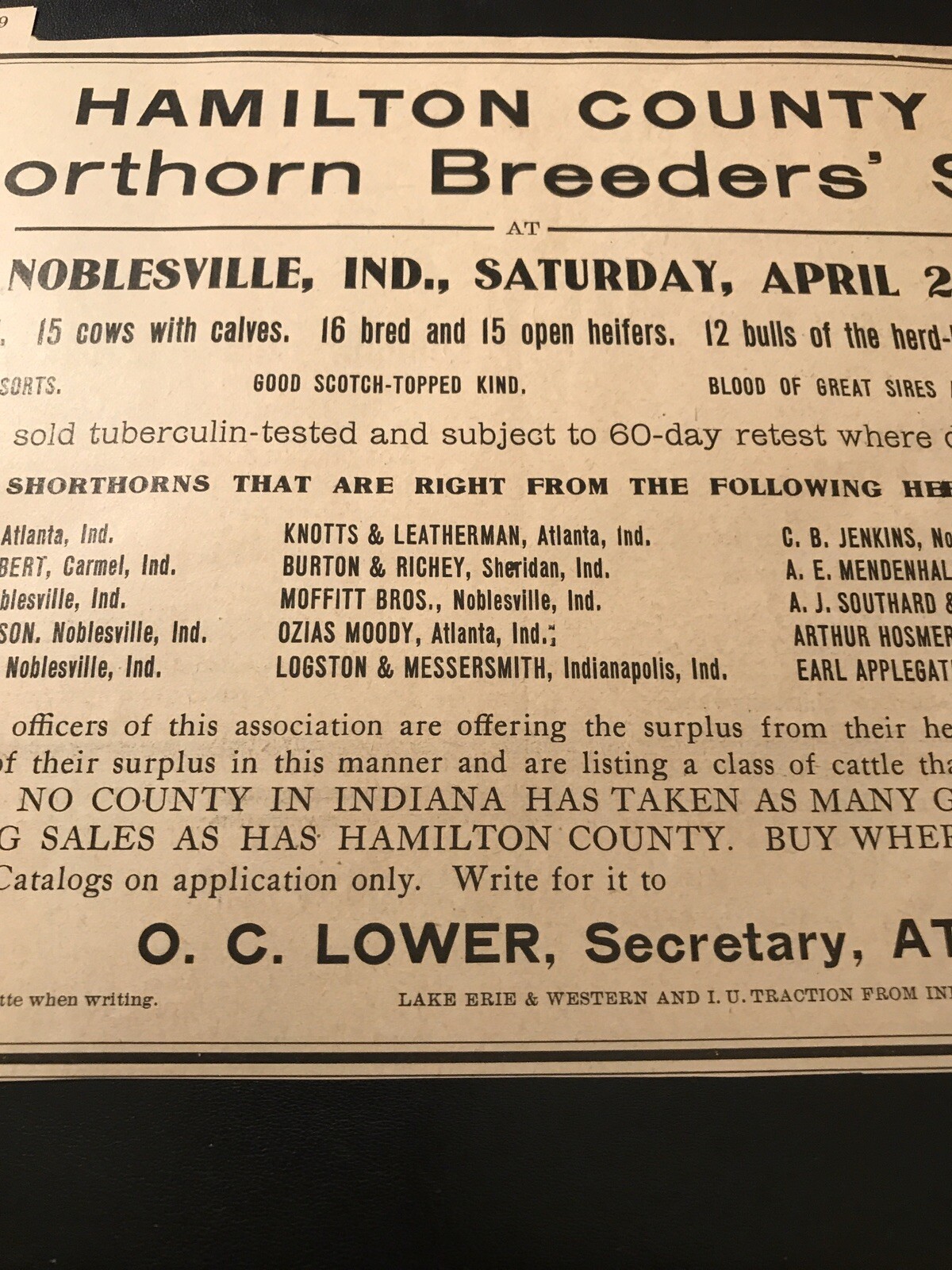 1919 Shorthorn Breeders Cattle Public Sale – Cow – Noblesville – Indiana