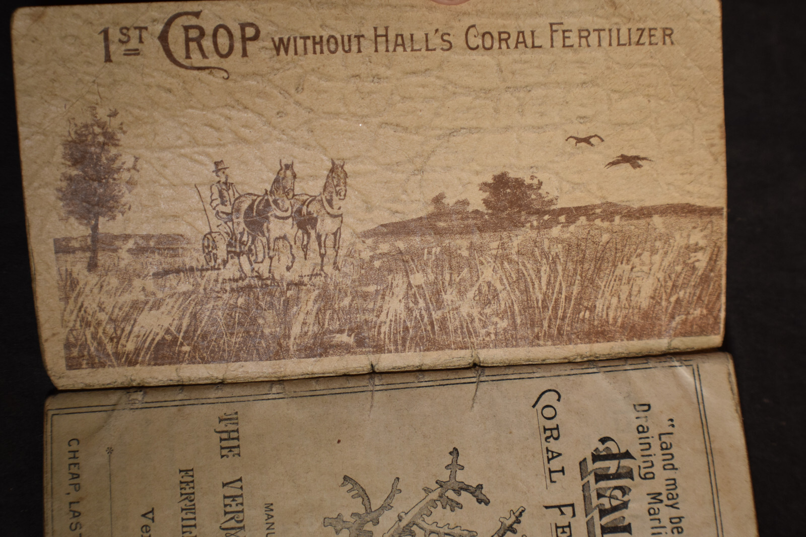 Ca 1888 Vermont Chemical Fertilizer Company Brochure – Vergennes Vermont