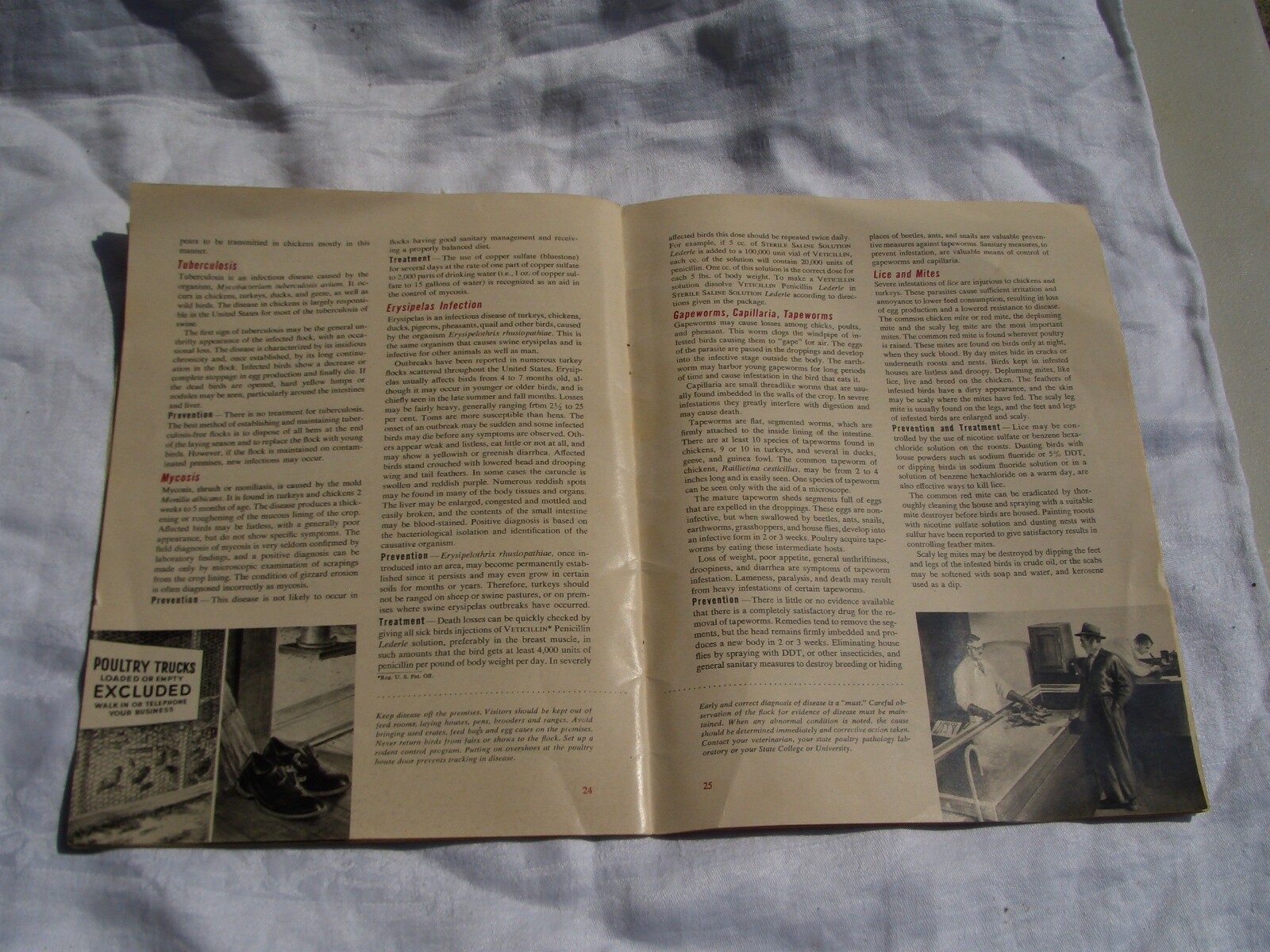 1951 Control of Poultry Diseases *Lederle Lab Chicken Treatment *Ships Free 2 US