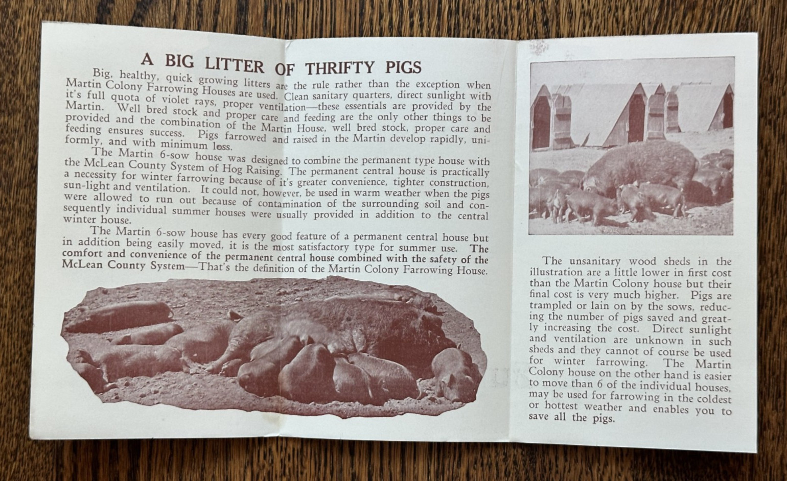 Vintage HOGS Farm MARTIN STEEL FARROWING HOUSE Advertising Brochure MANSFIELD OH