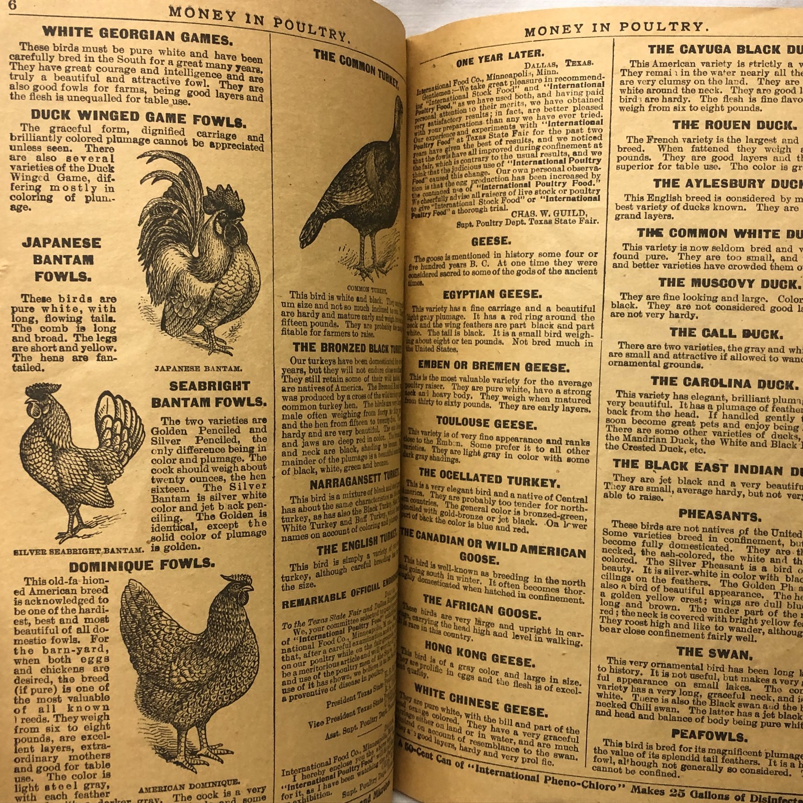 c1900s Money in Poultry Booklet International Poultry Food