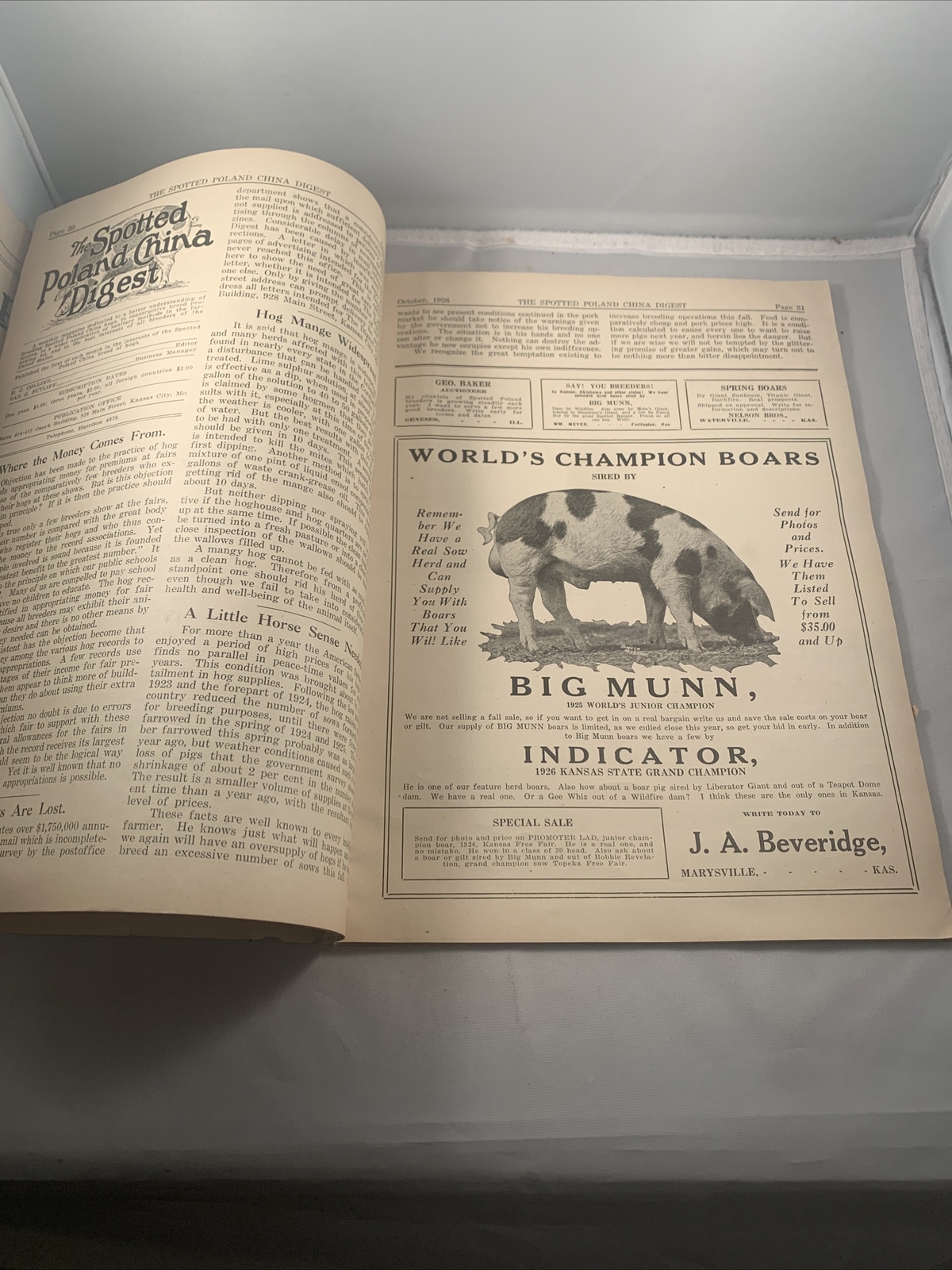 Spotted Poland China Pig Hog Digest October 1926 Missouri Kansas City Catalog