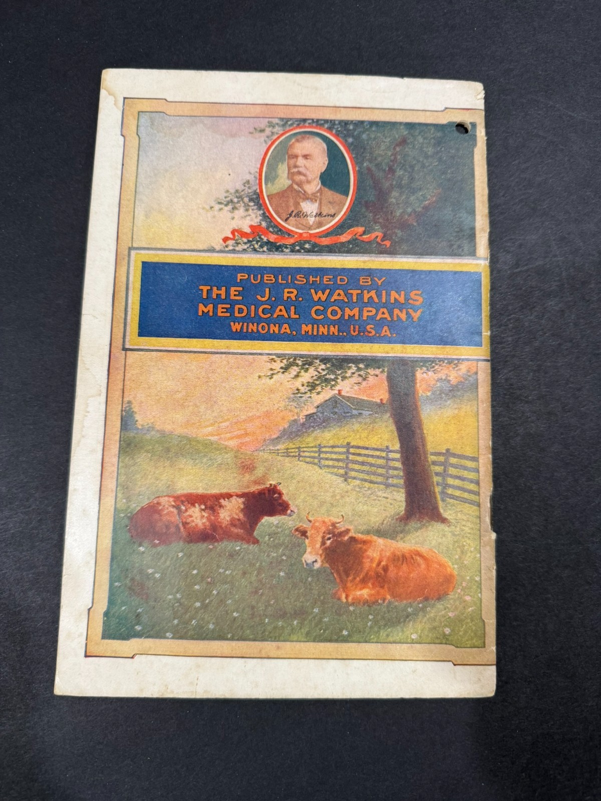 Vintage Watkins Stock Raisers Manual Farming Brochure