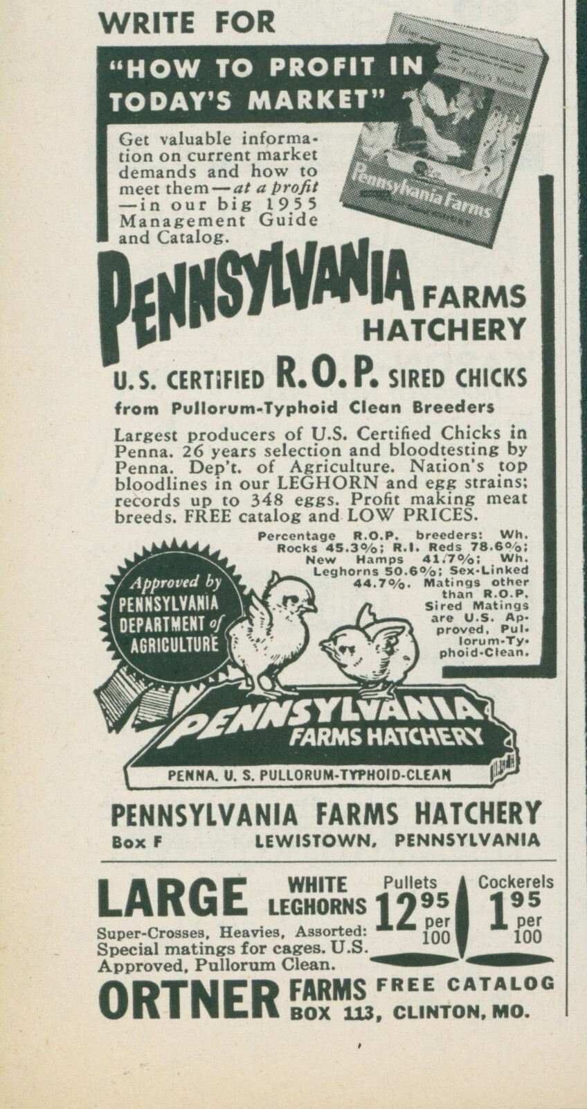 1955 Pennsylvania Farms Hatchery ROP Sired Chicks Leghorn Vintage Print Ad FJ1
