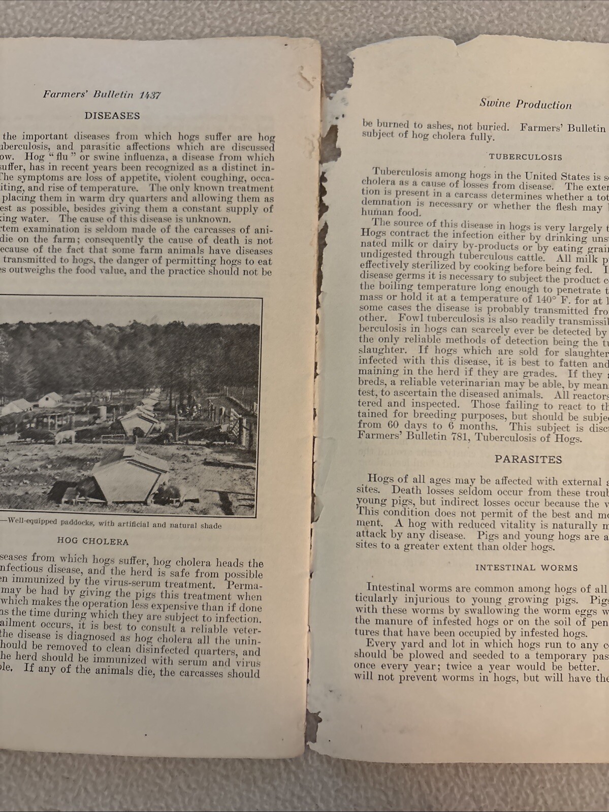 Two U.S.D.A. Famers&rsquo; Bulletins Marketing Poultry 1931 & Swine Production 1928