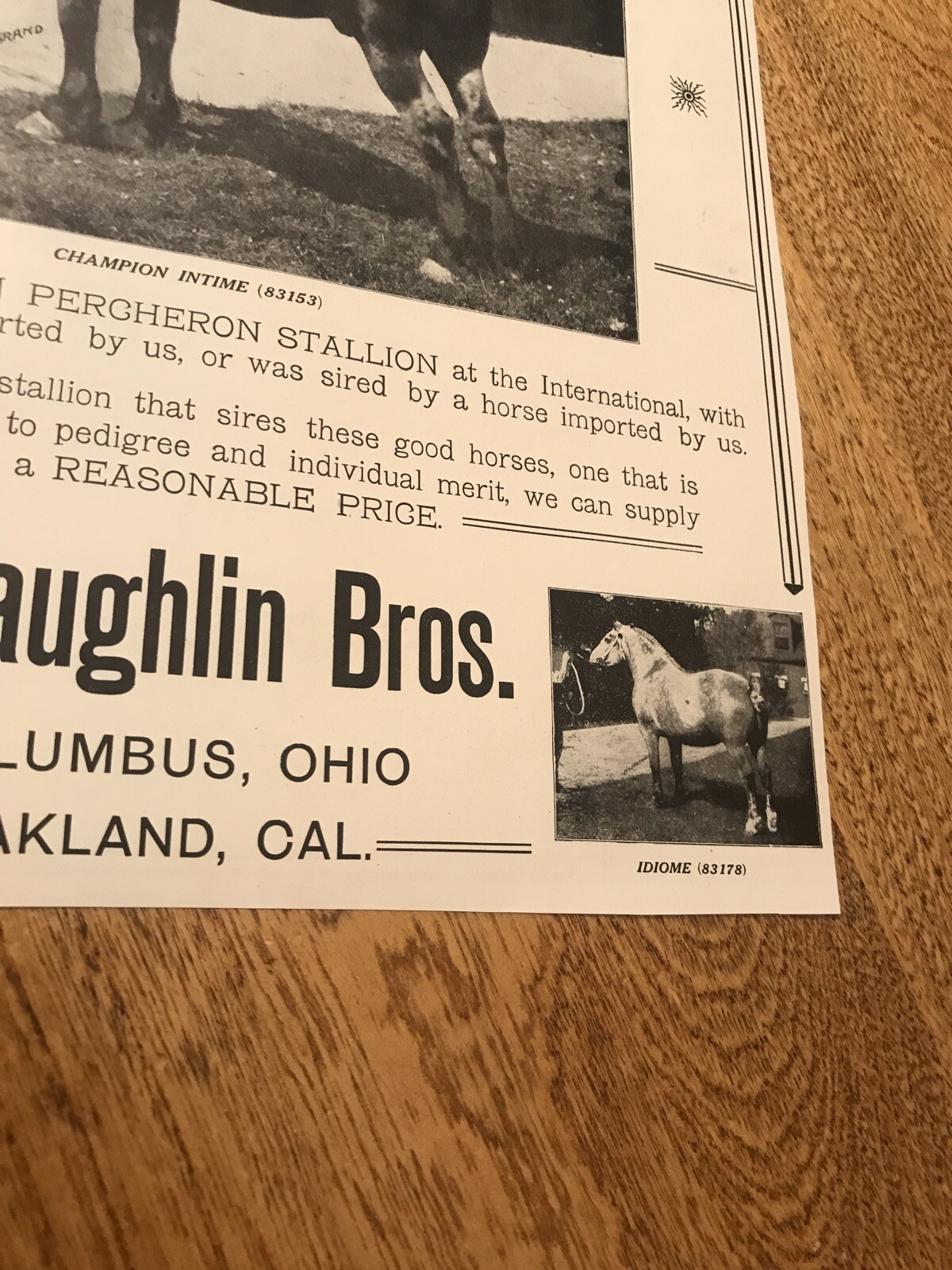 1911 McLaughlin Bros. Horse Advertising – Oakland – California – Columbus – Ohio