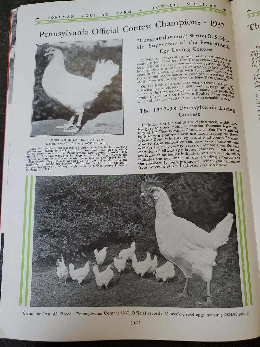 1944 Foreman Poultry Farm Catalog Chickens Beautiful & RARE 🐔