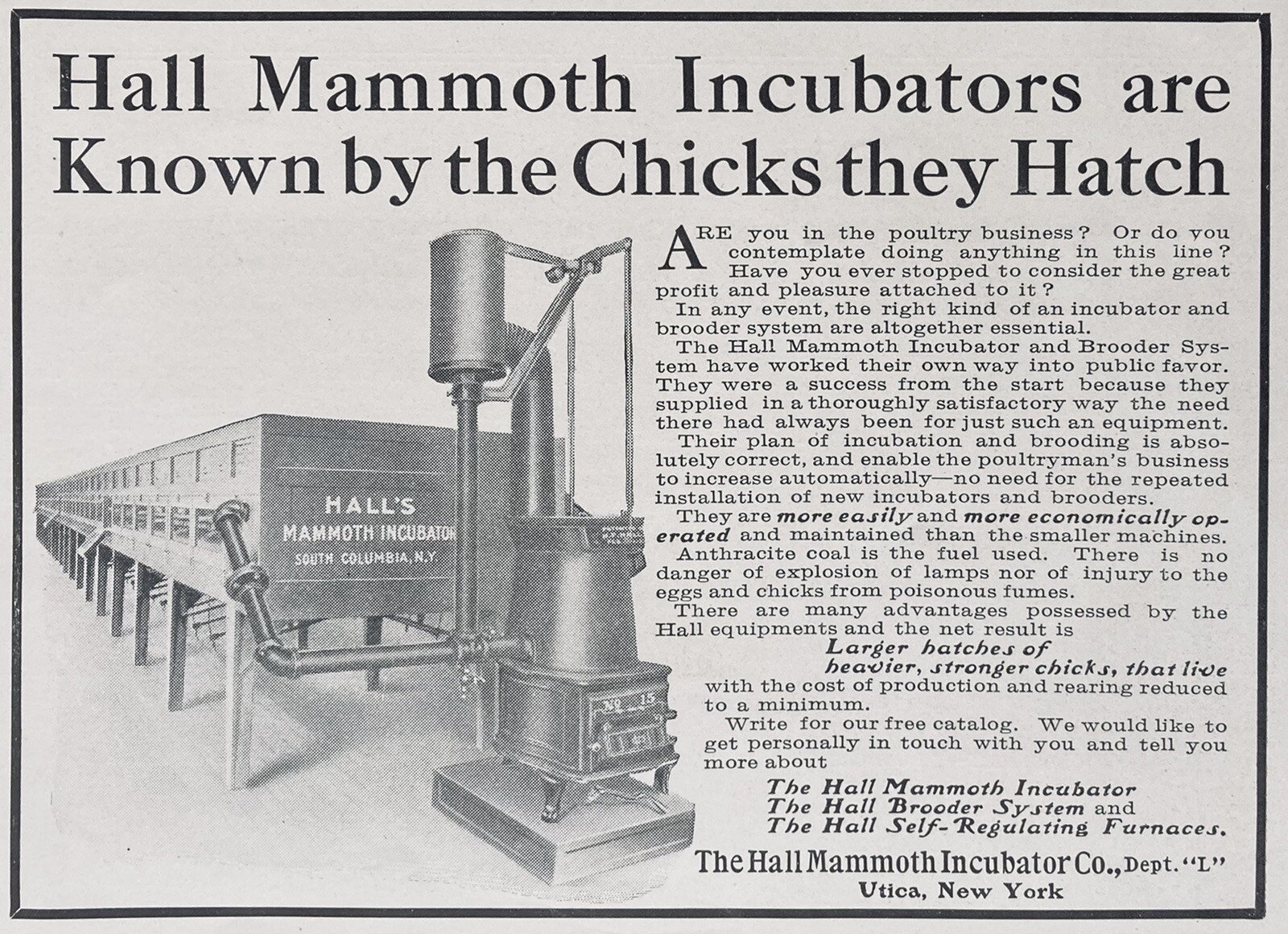 1910 AD(XH46)~HALL MAMMOTH INCUBATOR CO. UTICA, NY. MAMMOTH CHICK INCUBATOR