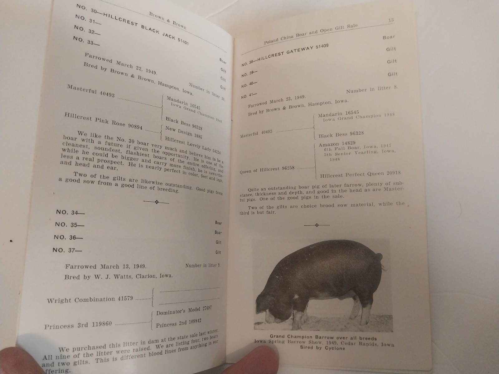 Brown & Brown – Poland China boar & gilt sale brochure 10/12/1949 Hampton, Iowa