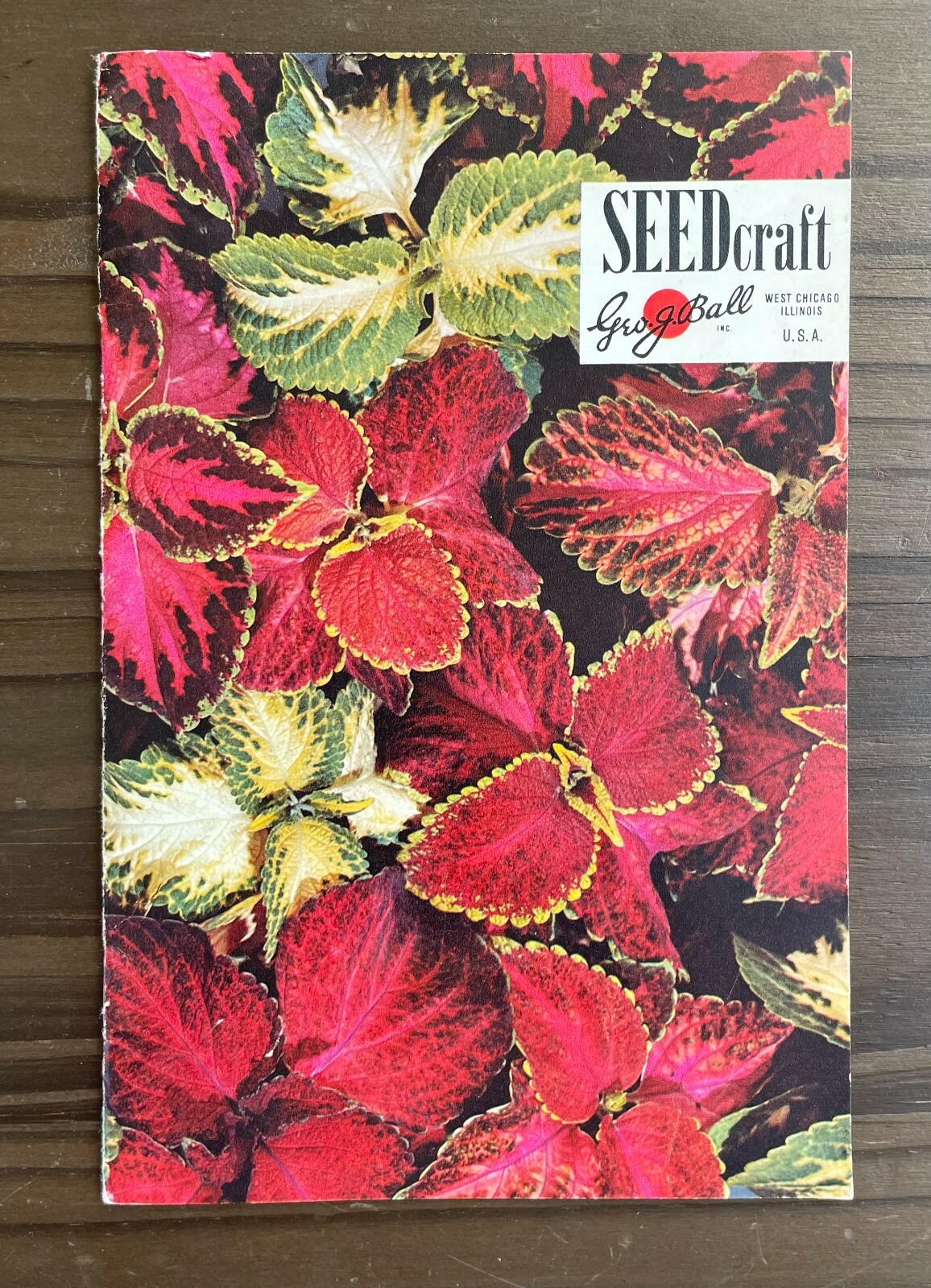 Seedcraft Vintage Garden Flower Catalog Rainbow Coleus Geo J Ball 1950s Booklet