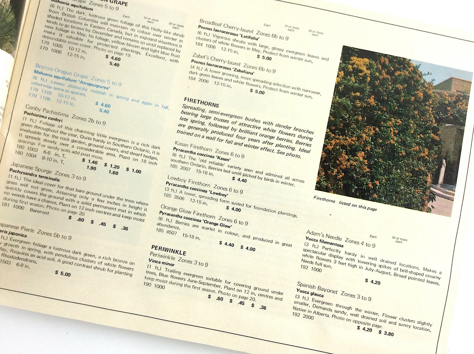 Sheridan Nurseries 1971 Garden Plants Flowers Booklet Guide Catalog L346
