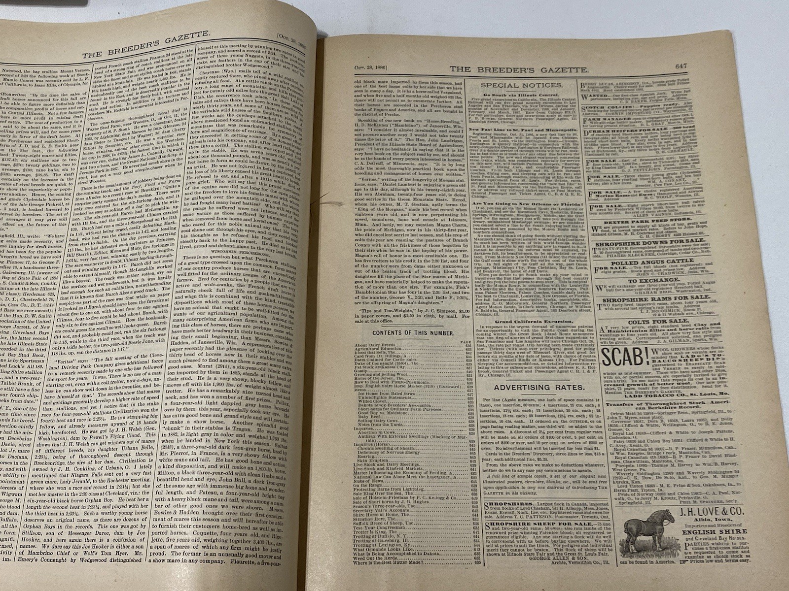 Vtg 1886 October Breeders Gazette Shire Horse Steer Pigs Cow Bull Advertisements