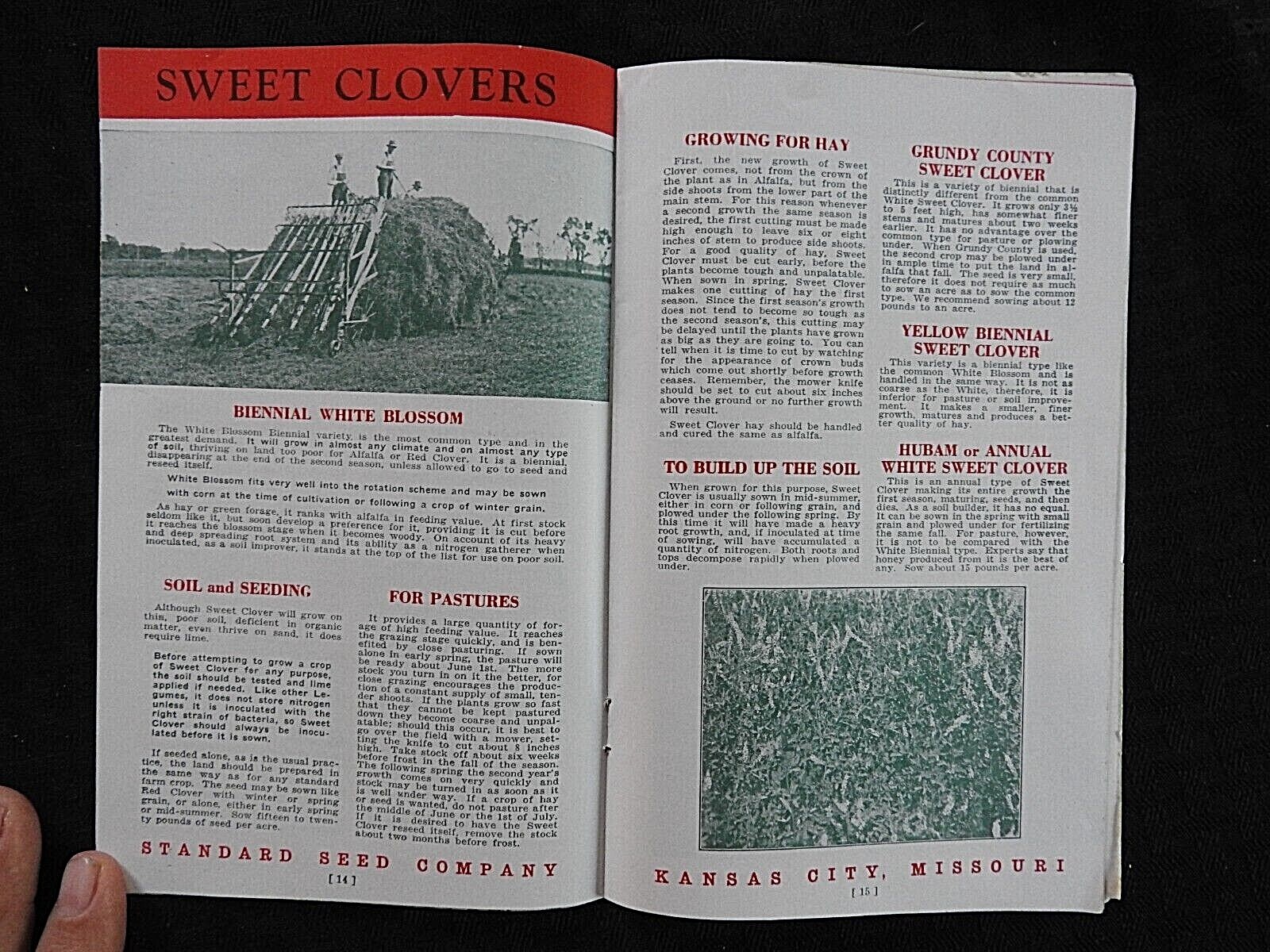 c.1920 « Standard Farm Seeds » Kansas City MO Soy Beans Field Corn Alfalfa Catalog