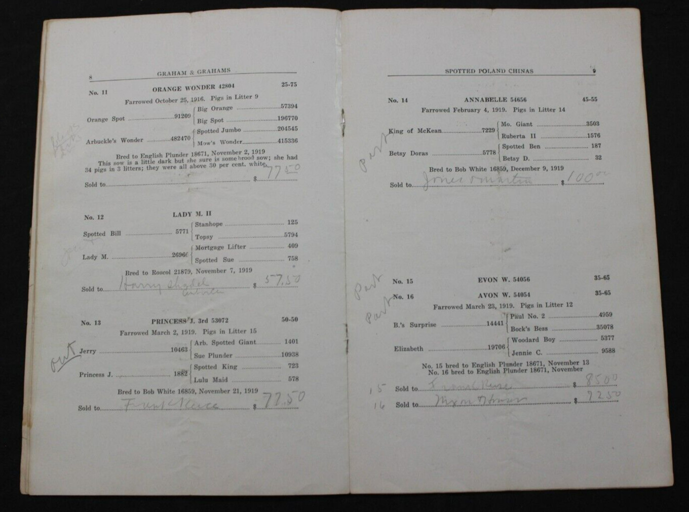 1920 SPOTTED POLAND CHINAS HOG PIG SALE CATALOG ~ NEW CASTLE, INDIANA