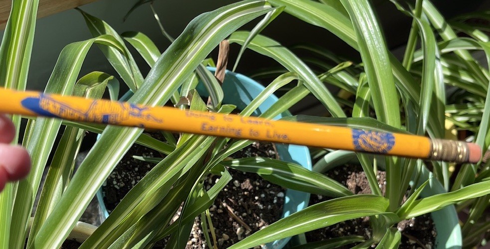 2 Future Farmers of America Vtg FFA Pencils Barn Silo Agriculture Unsharpened