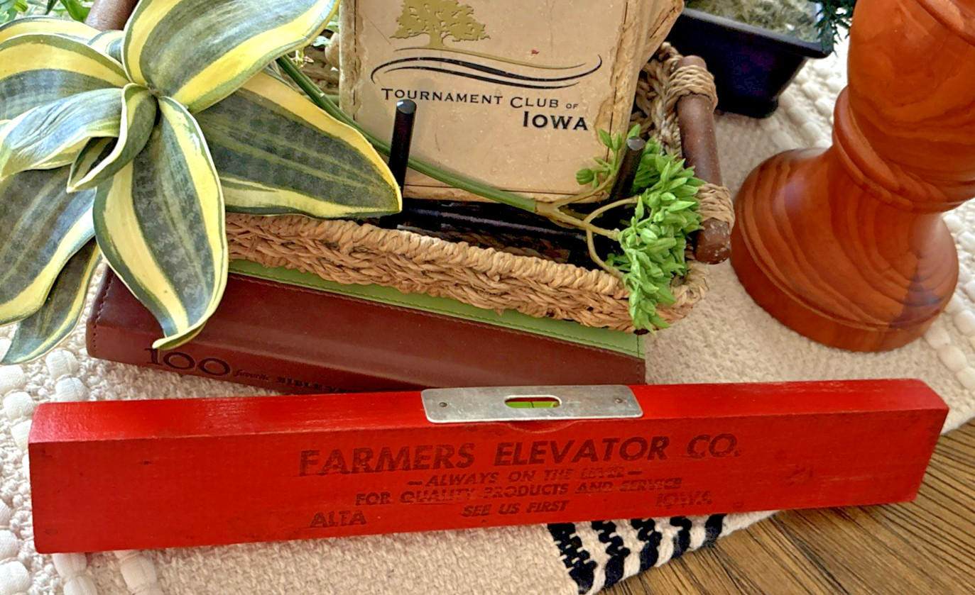 Wayne Feeds Kingcrost Hybrids Northrup King Seeds Farmers Elevator Level Alta IA