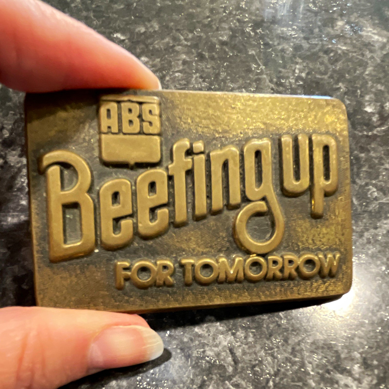 70’s ABS « Beefing Up for Tomorrow » Solid Brass Gold Belt Buckle AgricultureTheme