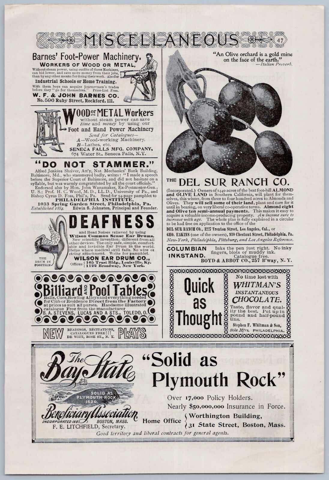 1896 Del Sur Ranch Co Vintage Ad Almond & Olive Orchard Southern California