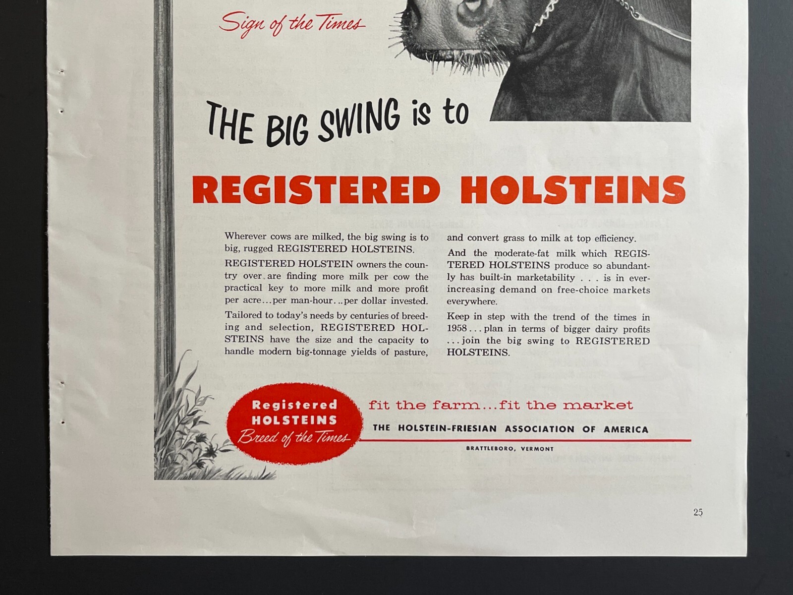1950s « Milk » Registered Holsteins -Original Print Advertisement (9.5in x 13in)