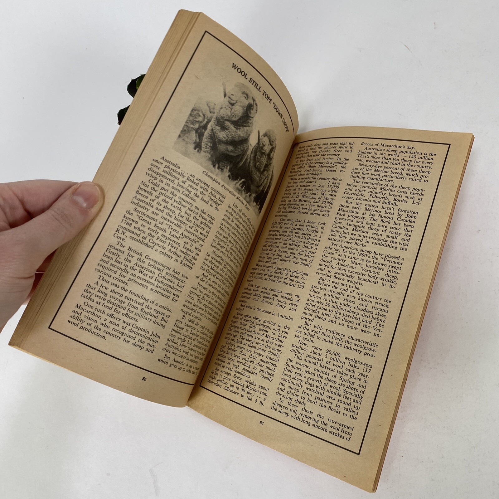 1977 American Farm and Home Almanac Edited by Ray Geiger