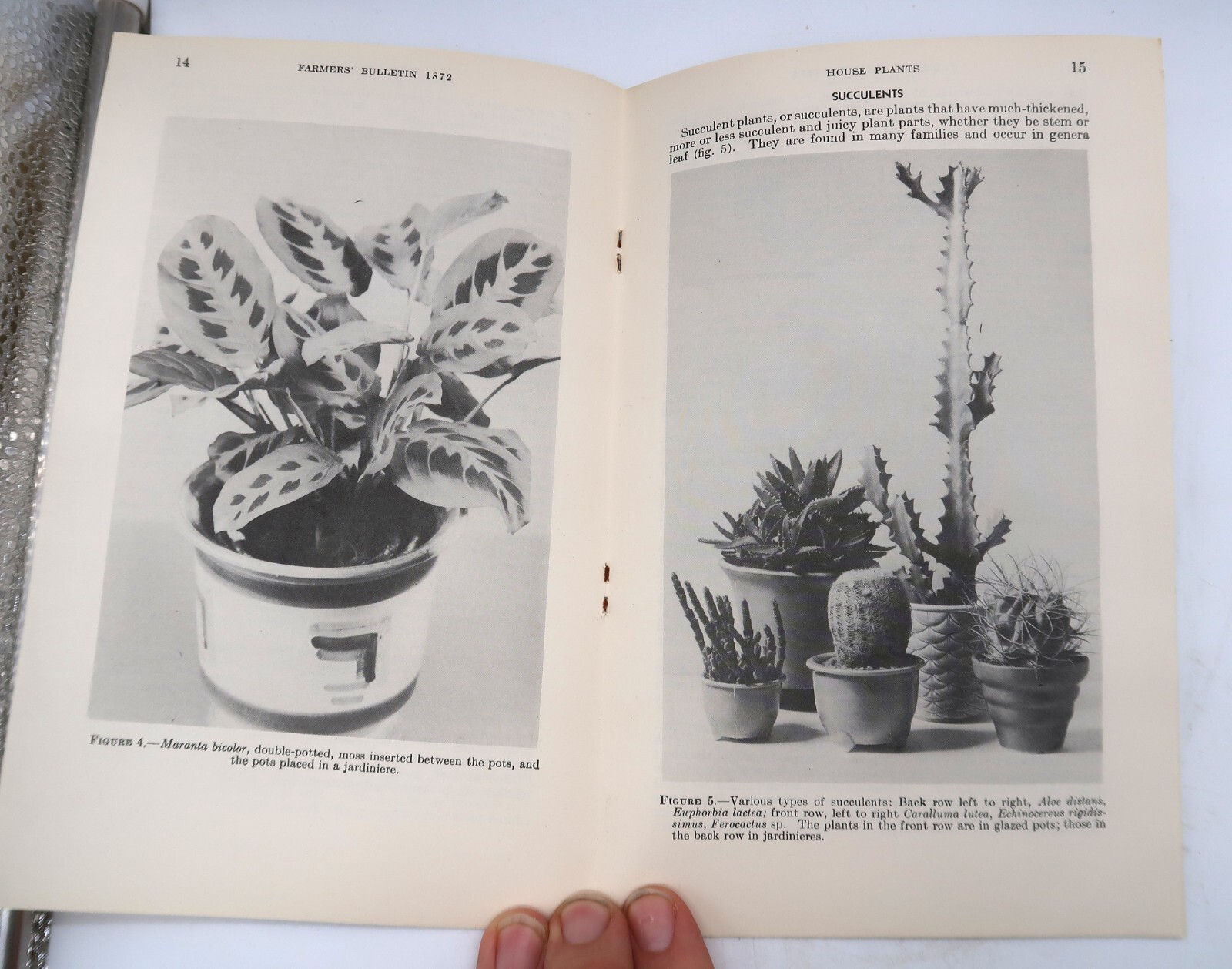 1941 USDA Farmers&rsquo; Bulletin No. 1872 House Plants Ephemera Furman Lloyd Mulford