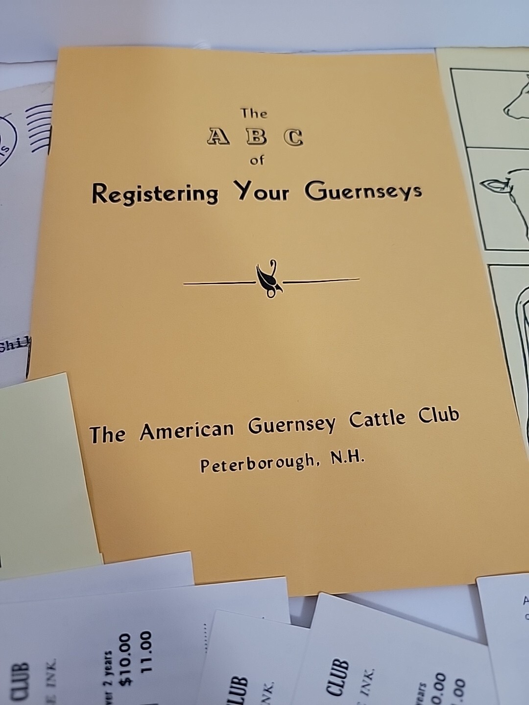 The A B C of Registering your Guernseys Packet, American Guernsey Cattle Club AG