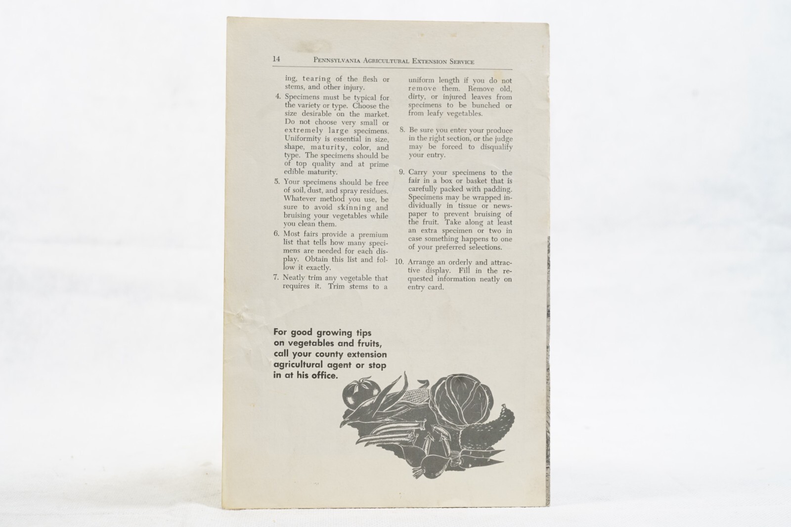 Vintage PA State University College of Agriculture Home Vegetable Garden 469