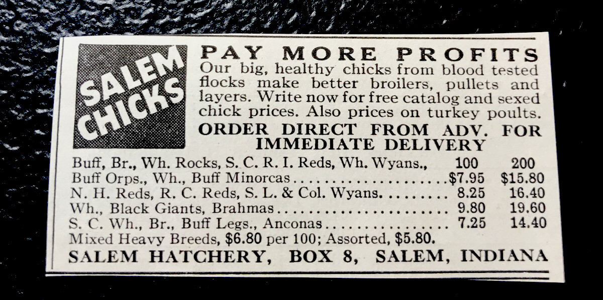1936 Salem Hatchery Chicks – Chicken Farm Advertising – Salem – Indiana