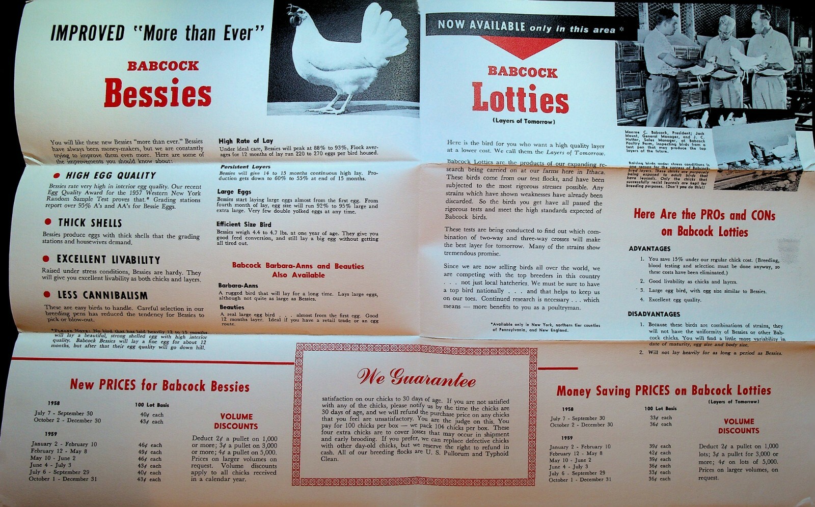 Babcock Poultry Farm 1958 Ithaca NY Ad Brochures Hens Babcock Bessies Lotties