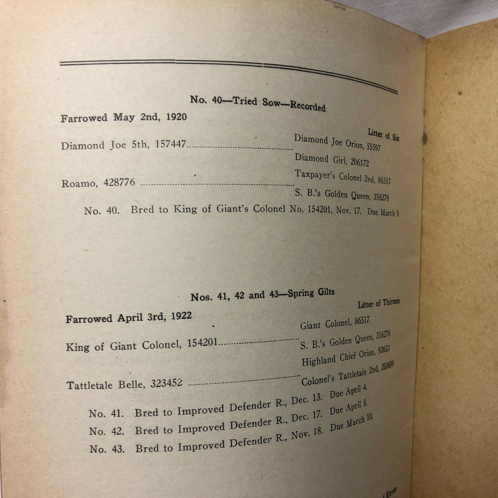 Vintage 1923 45-Duroc-45 Bred Sows Sale Booklet