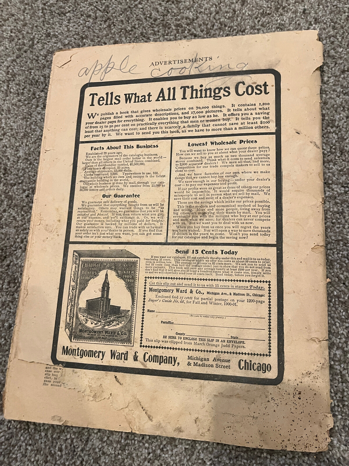 March 1901 THE ORANGE JUDD FARMER Magazine Farm Advertising Horticulture