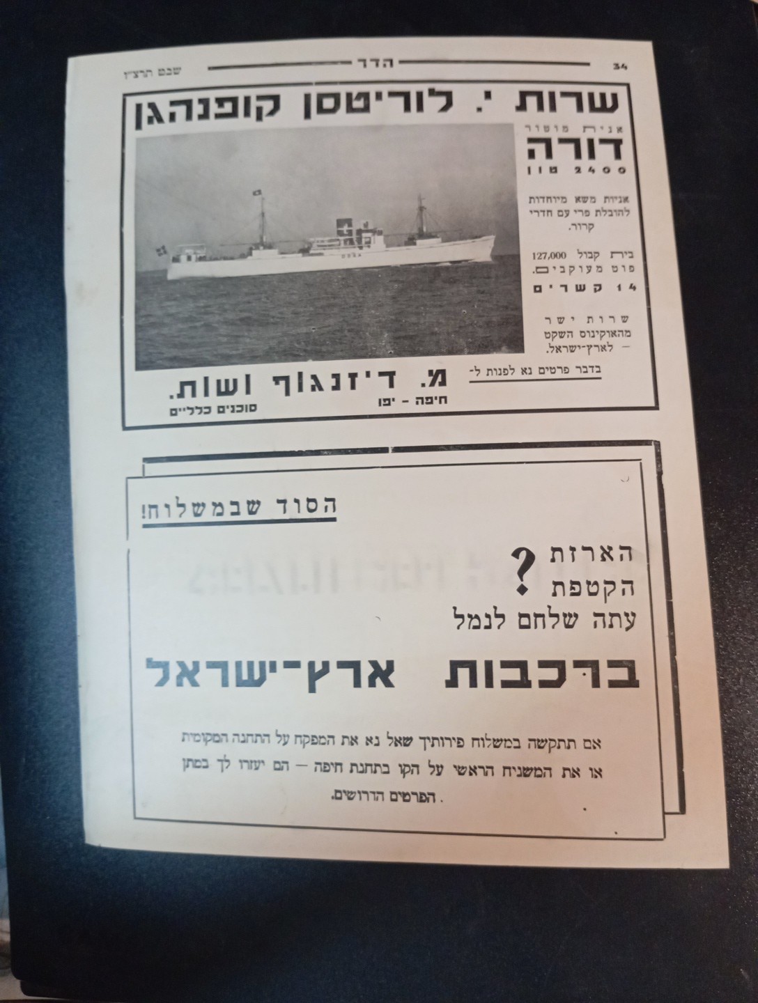 palestine jaffa orange judaica