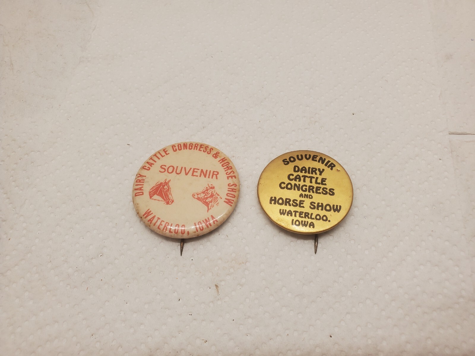 2 Metal Pinback Buttons Souvenir Dairy Cattle Congress Horse Show Waterloo Iowa