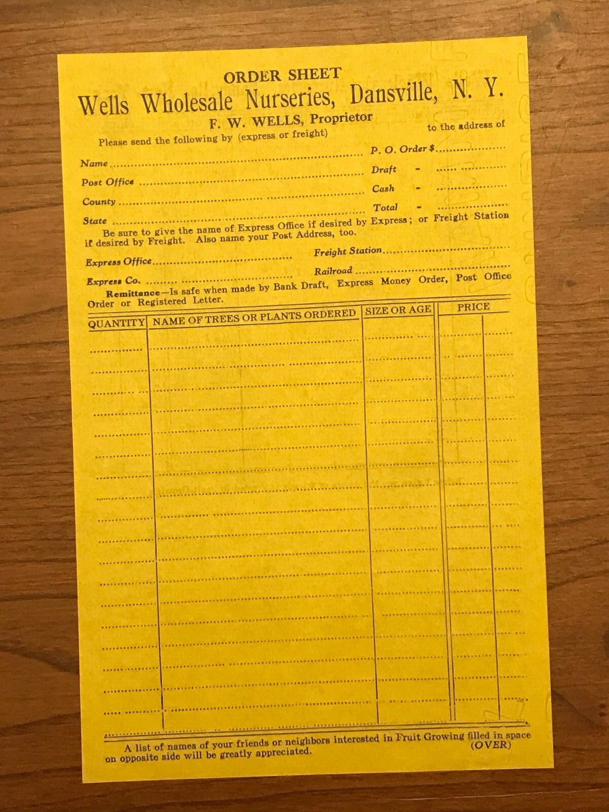 Wells Wholesale Nurseries 1915 Catalog Dansville NY w/Order Form & Envelope 10×7
