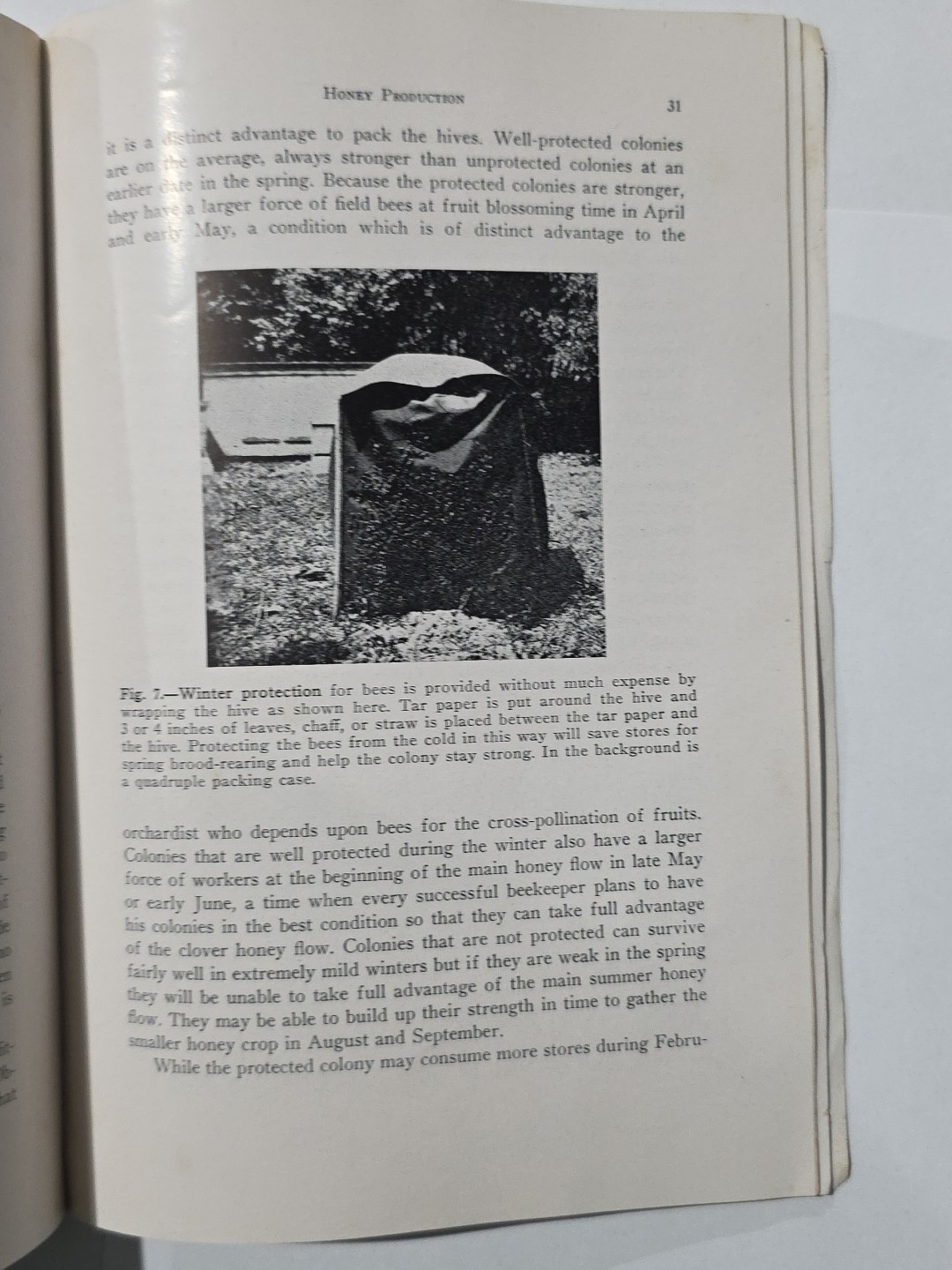 Vintage booklet: HONEY PRODUCTION by V.G. Milum Oct 1945 Reprint Univ. of IL