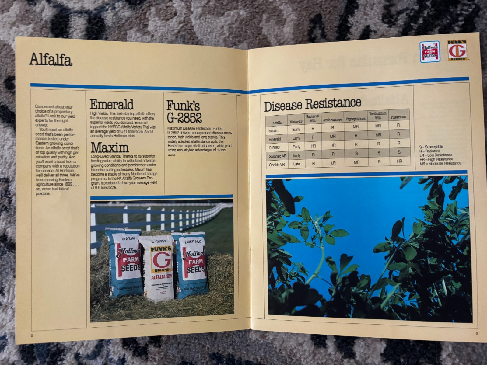 Hoffman Funks Seed Book For 1988 Brochure DCPA26