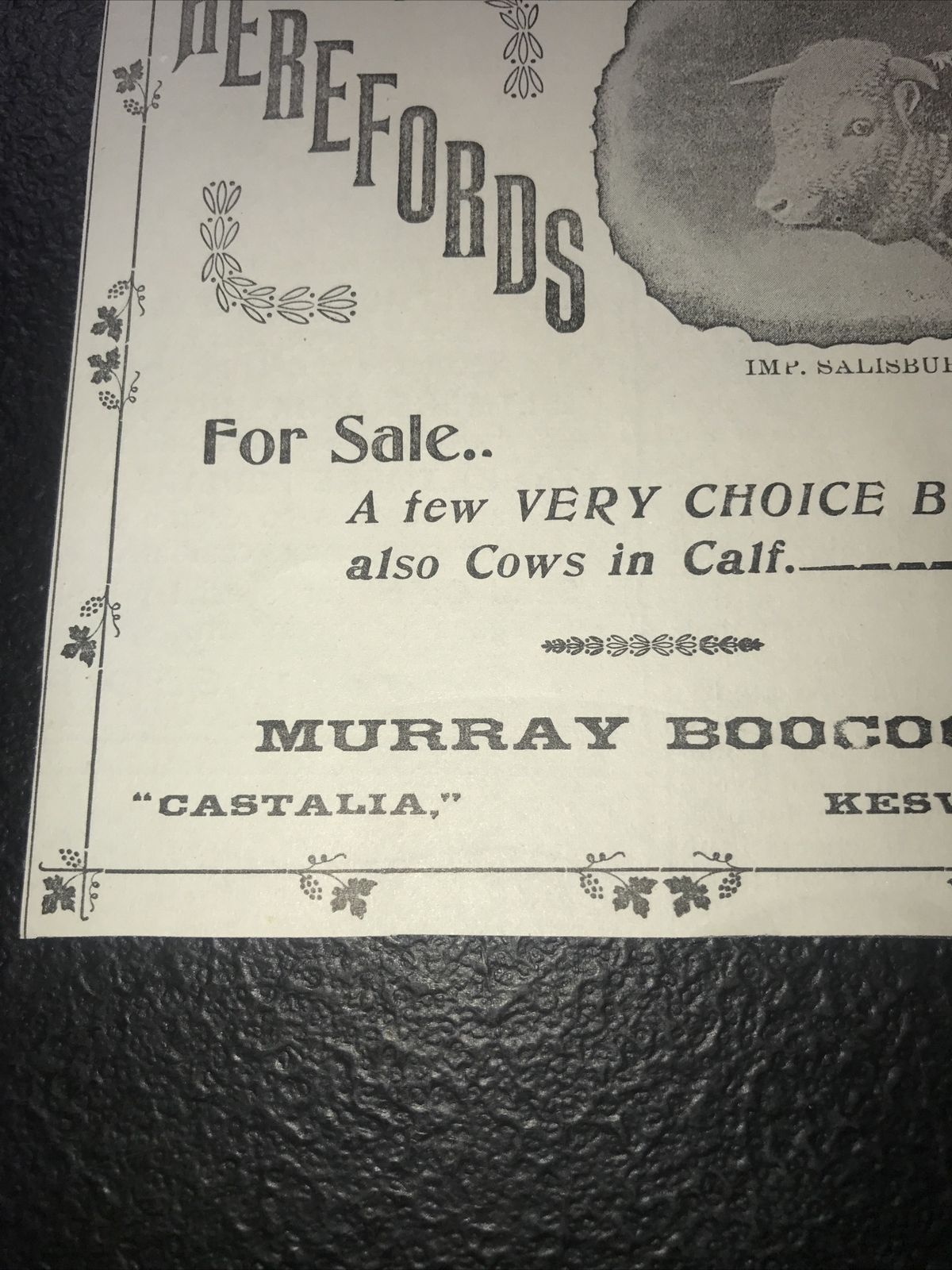 1900 Murray Boocock Hereford Cow Farm Advertising – Keswick – Virginia