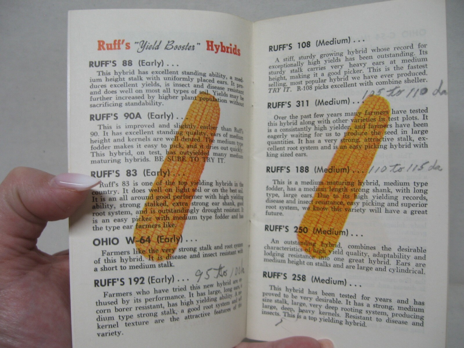 Vintage Ruff&rsquo;s Hybrids Farm Seeds Note Book Amanda OH