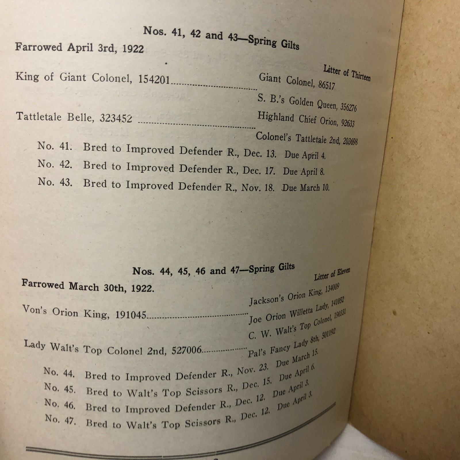Vintage 1923 45-Duroc-45 Bred Sows Sale Booklet
