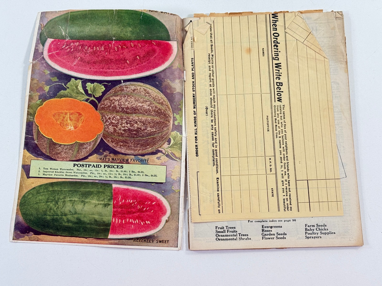 1924 May Seed Advertising Catalog Shenandoah Iowa IA