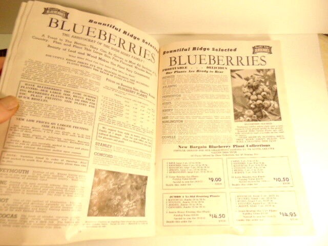 Vintage Fall 1954 – Spring 1955 Bountiful Ridge Nurseries plant catalog