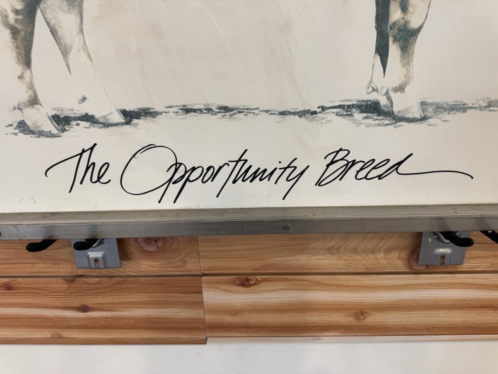 Vintage Limousin Cattle “The Opportunity Breed” Advertising Sign