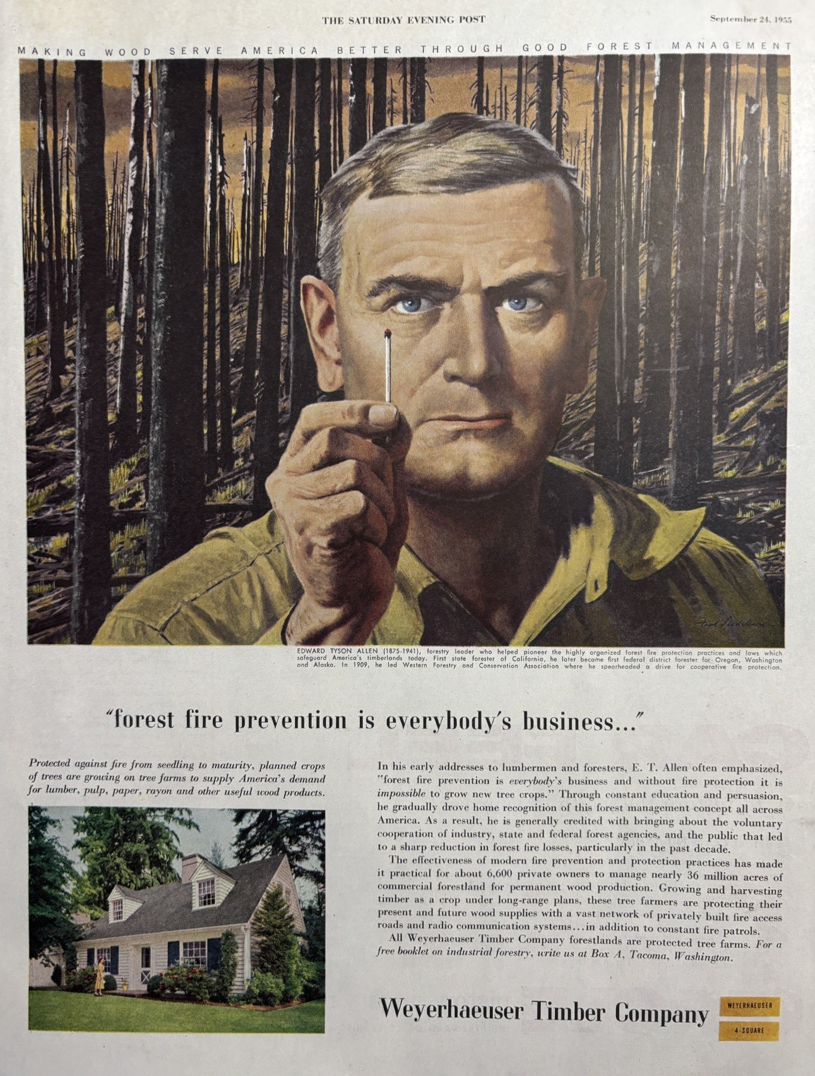 1955 Weyerhaeuser Timber Company Edward Tyson Allen Forestry Leader VTG Print Ad