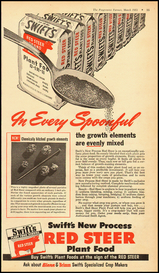 1951 vintage ad for Swift&rsquo;s Red Steer Plant Food -032412