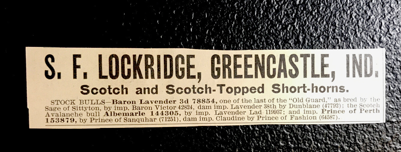 1902 Lockridge Farm Cattle Cow Advertising – Greencastle – Indiana